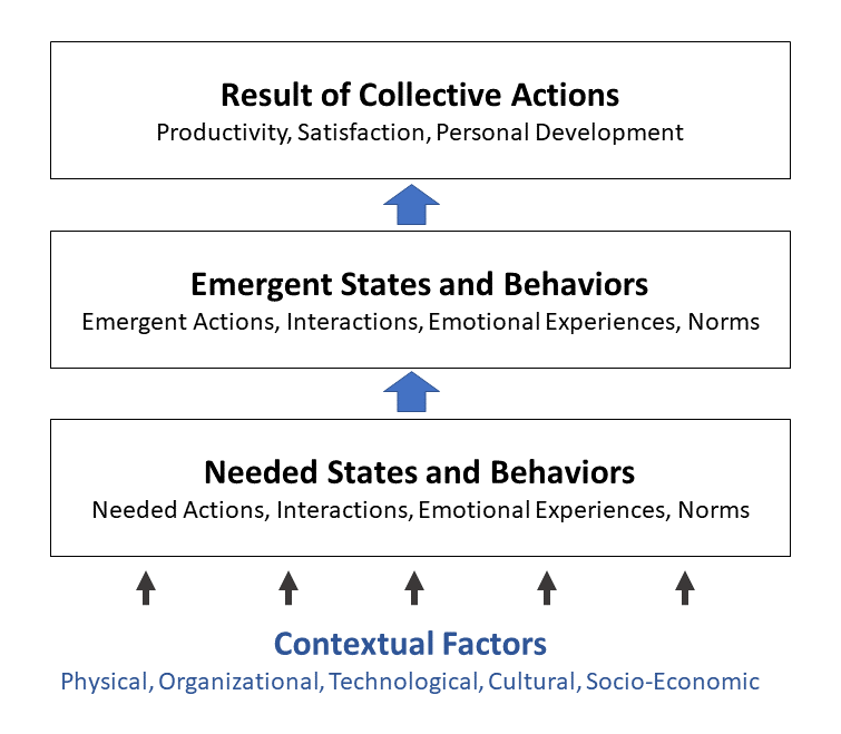 Homans Group Maturity Model